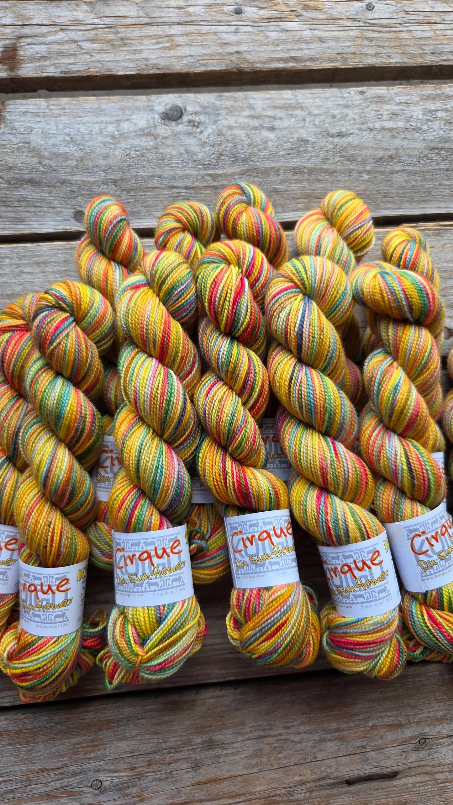 Koigu Wool Designs - KOIGU COLLECTOR COLOUR YARN CLUB - July to September 2025