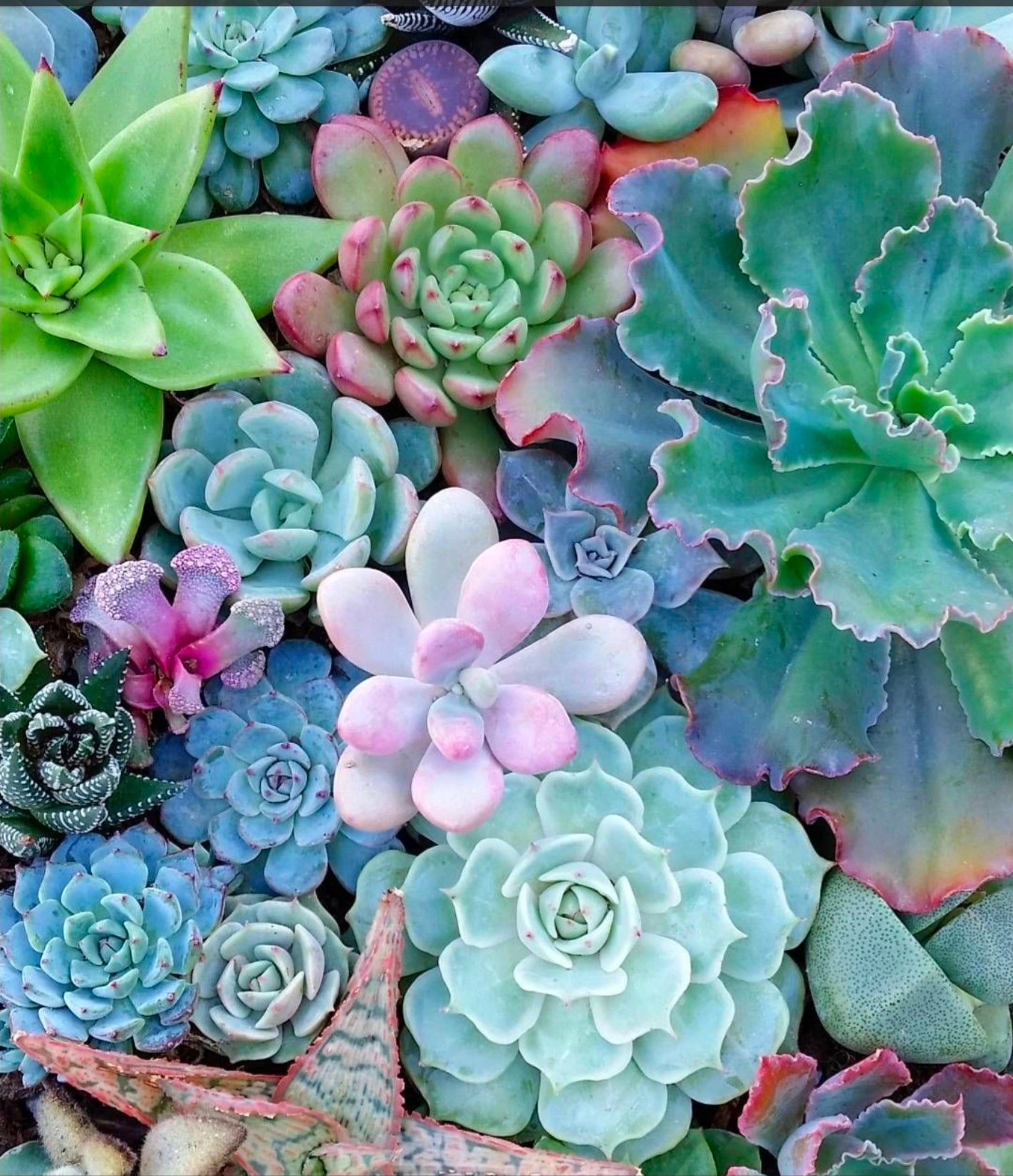 AriYARN x Sister Ananse 2026 Winter Advent Box