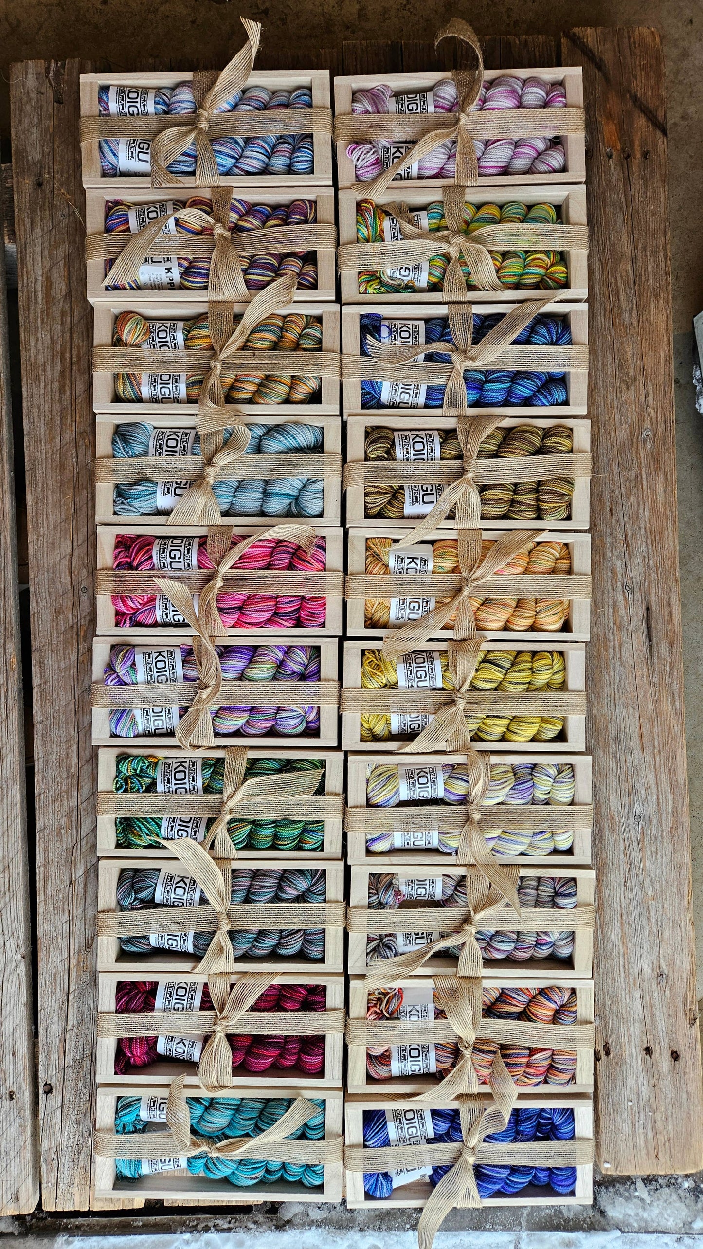 Koigu Wool Designs - Sock Kits LYS Day 2025