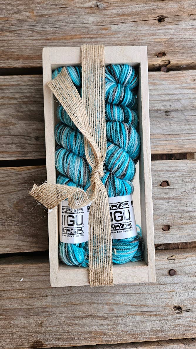 Koigu Wool Designs - Sock Kits LYS Day 2025