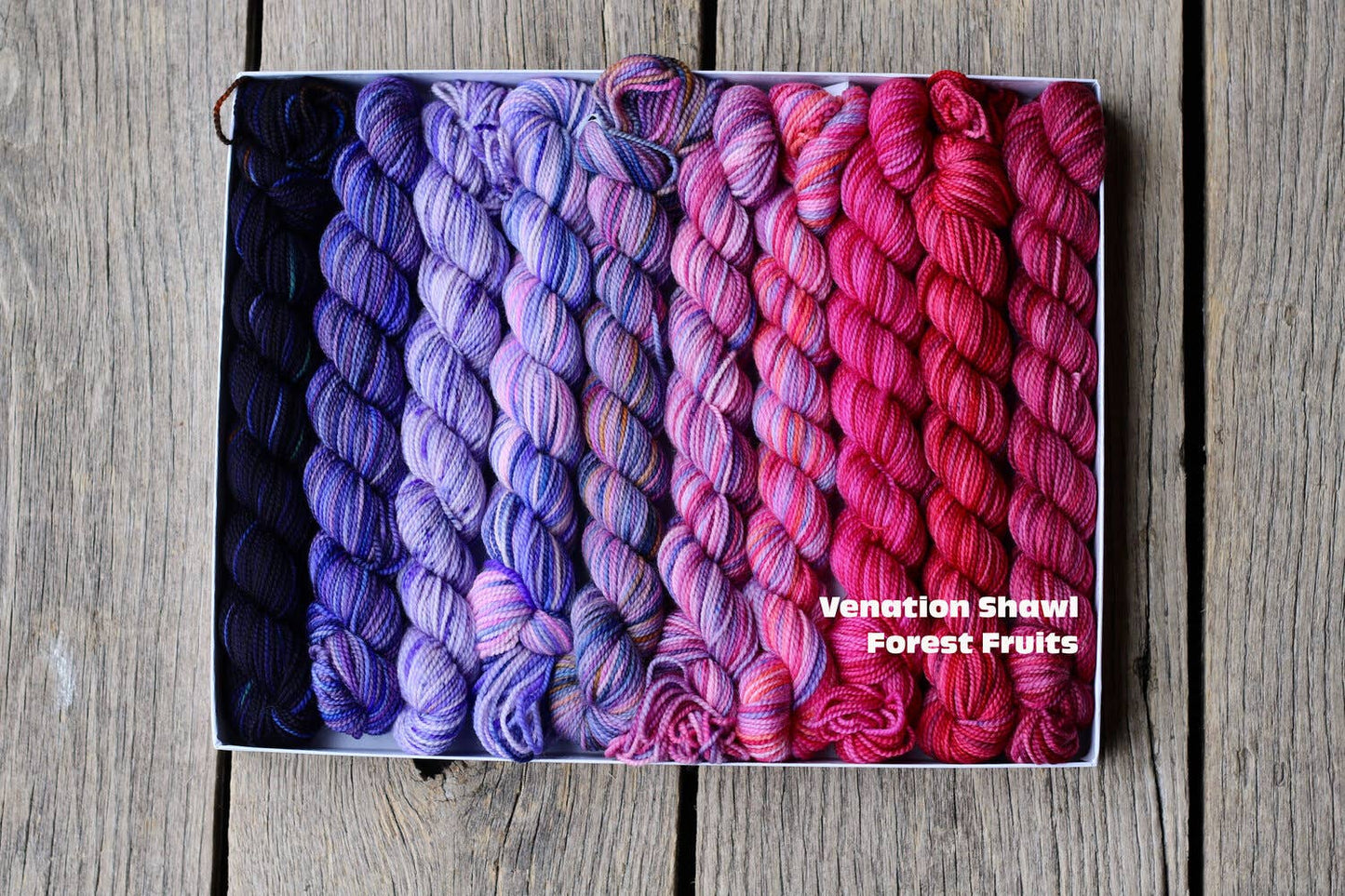 Koigu Wool Designs - Venation Shawl Kits - Pencil Boxes x Ambah LYS Day 2025