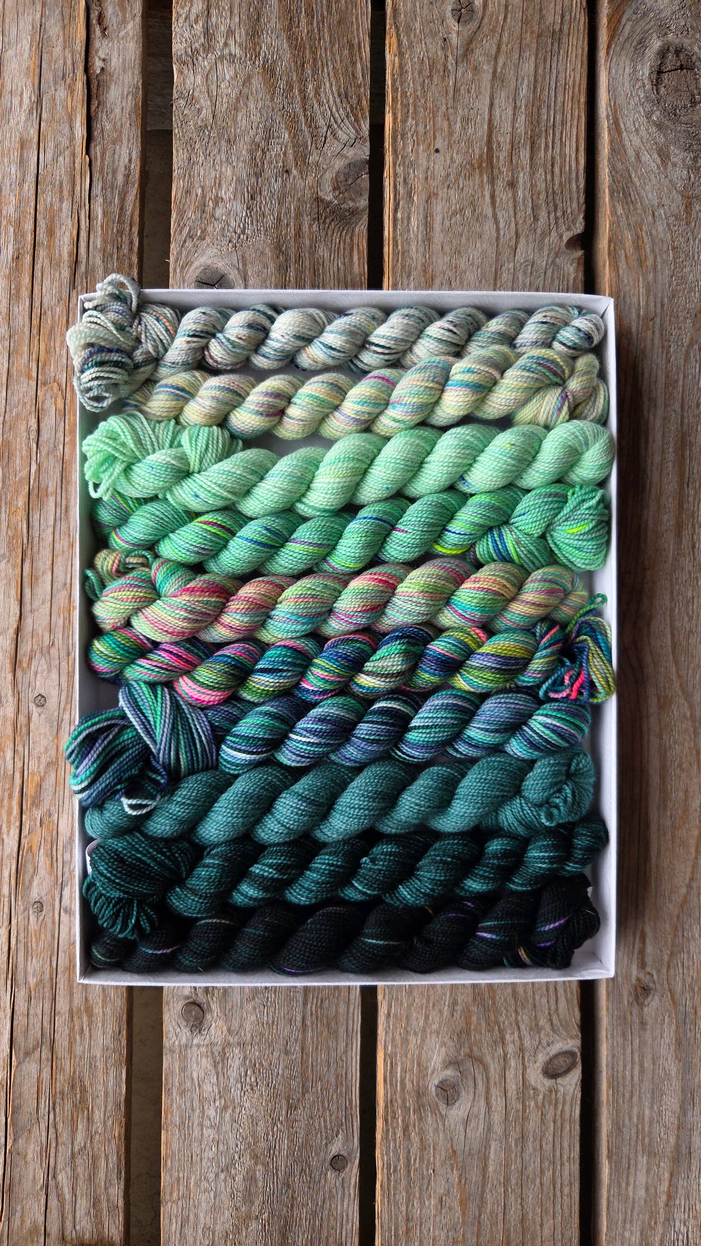 Koigu Wool Designs - Venation Shawl Kits - Pencil Boxes x Ambah LYS Day 2025 Mojito