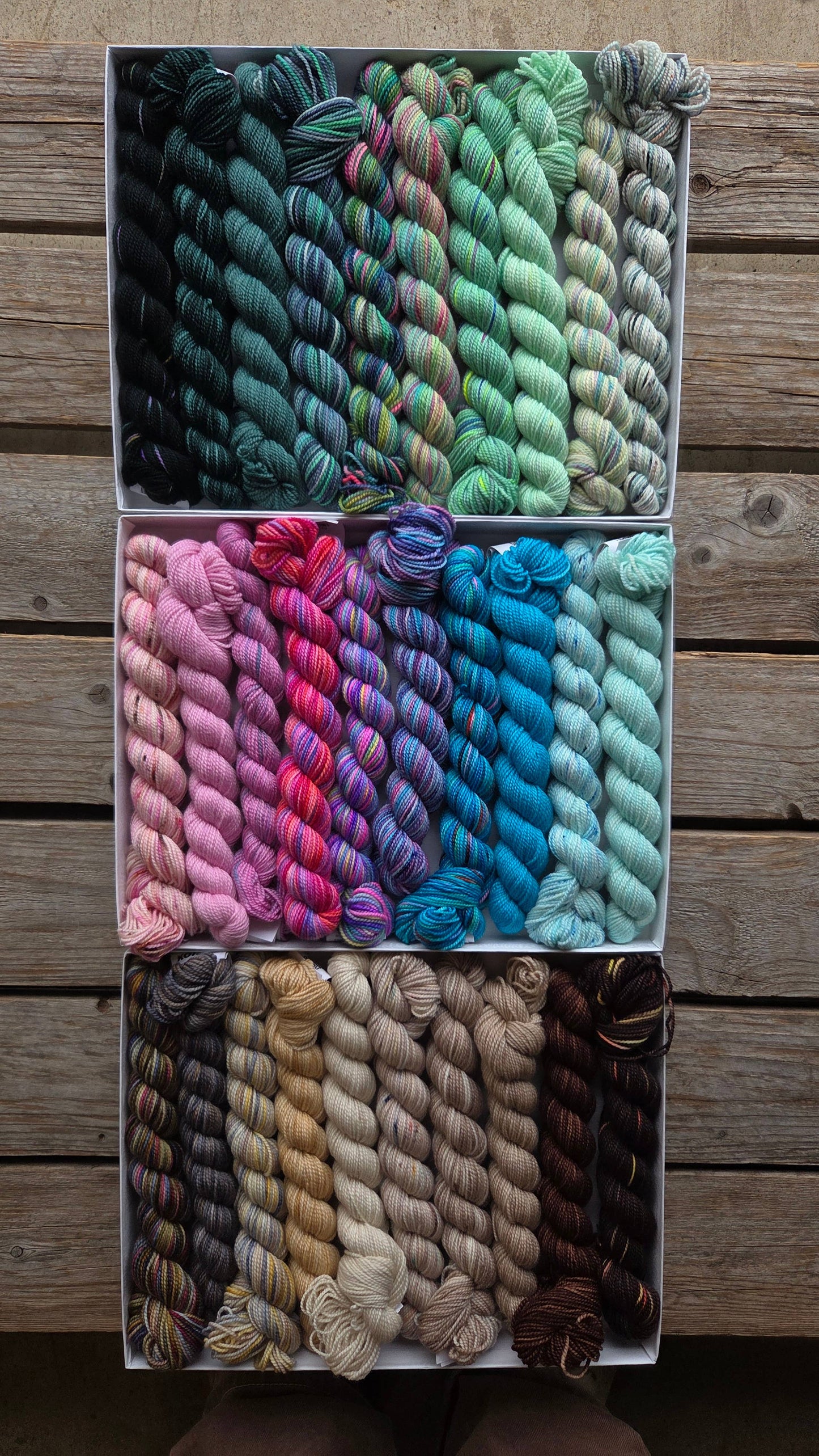 Koigu Wool Designs - Venation Shawl Kits - Pencil Boxes x Ambah LYS Day 2025