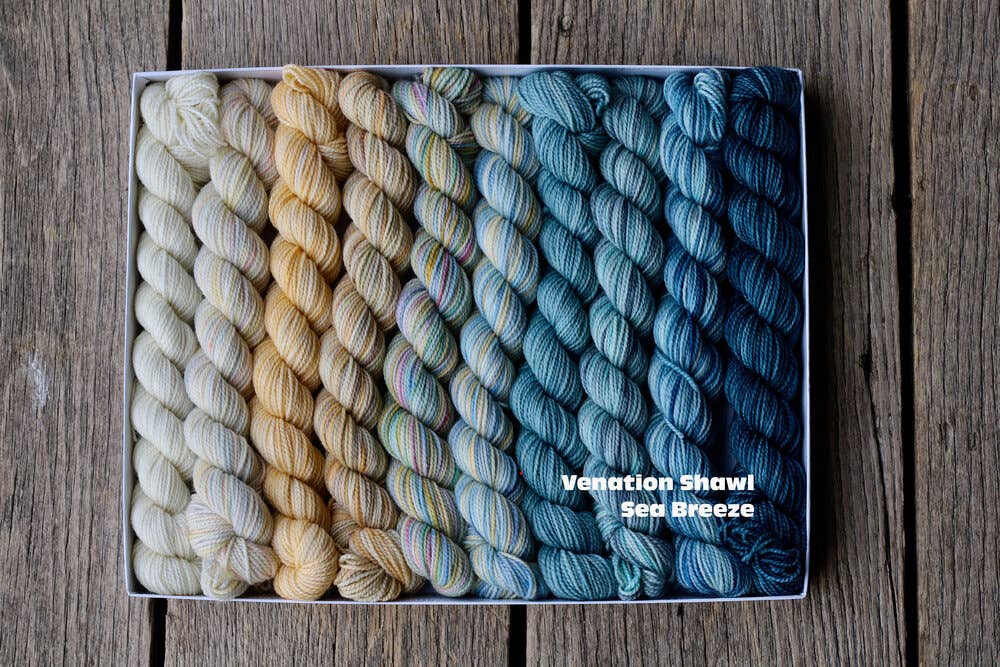 Koigu Wool Designs - Venation Shawl Kits - Pencil Boxes x Ambah LYS Day 2025 Sea Breeze