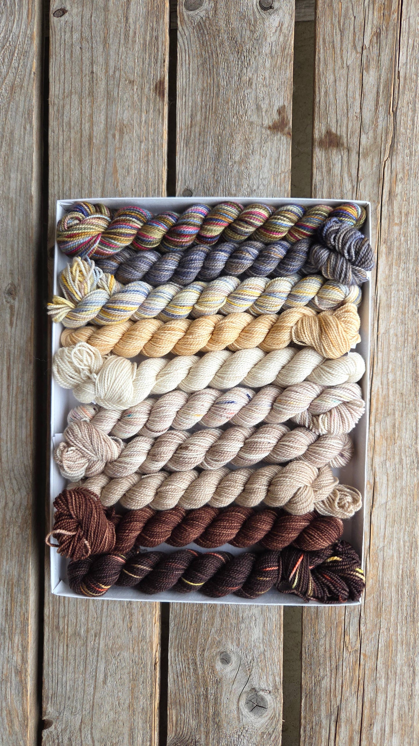 Koigu Wool Designs - Venation Shawl Kits - Pencil Boxes x Ambah LYS Day 2025