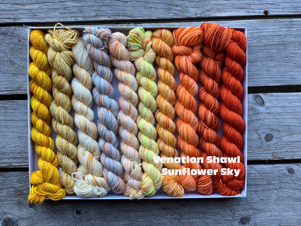 Koigu Wool Designs - Venation Shawl Kits - Pencil Boxes x Ambah LYS Day 2025 Sunflower Sky