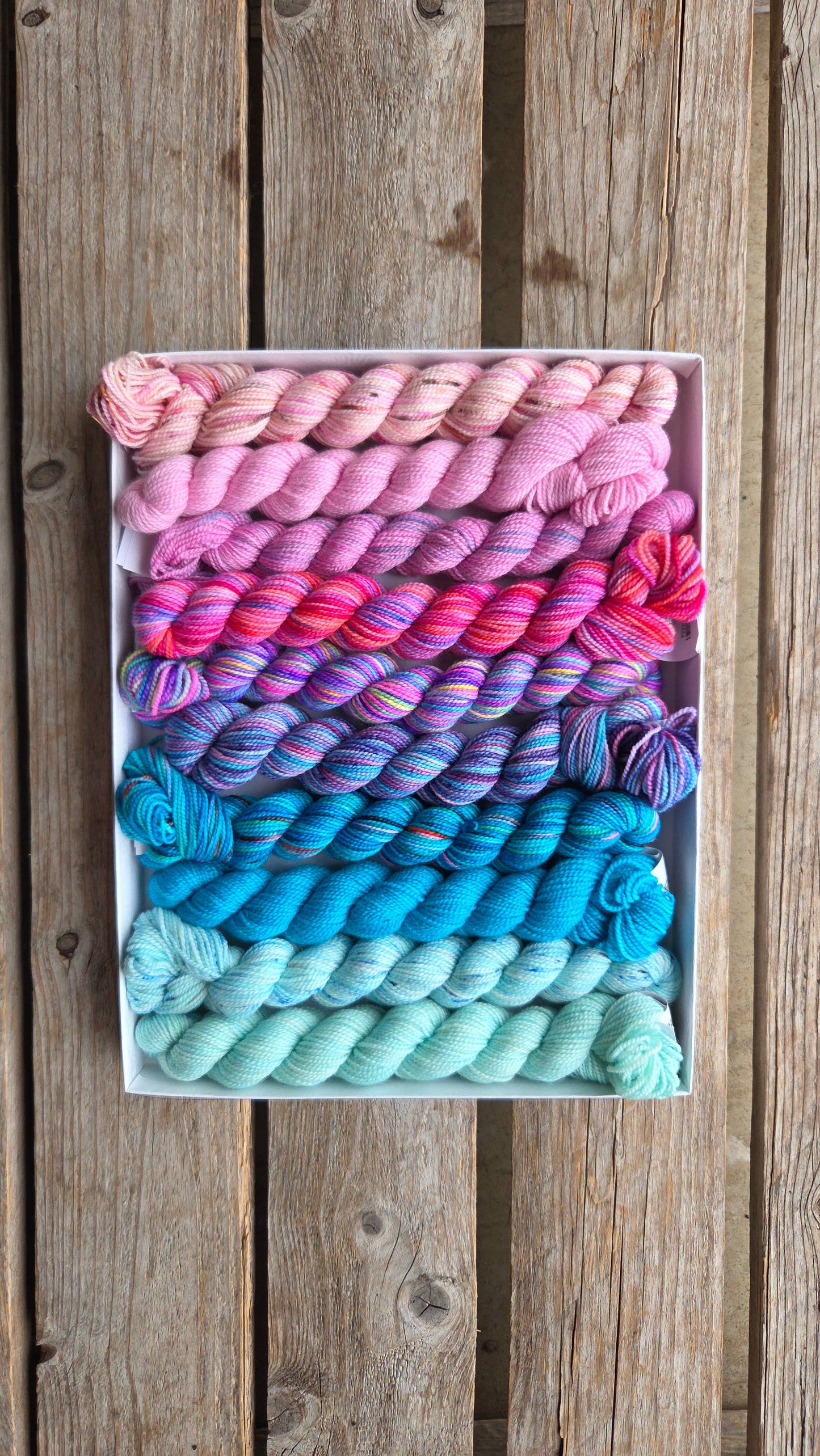 Koigu Wool Designs - Venation Shawl Kits - Pencil Boxes x Ambah LYS Day 2025