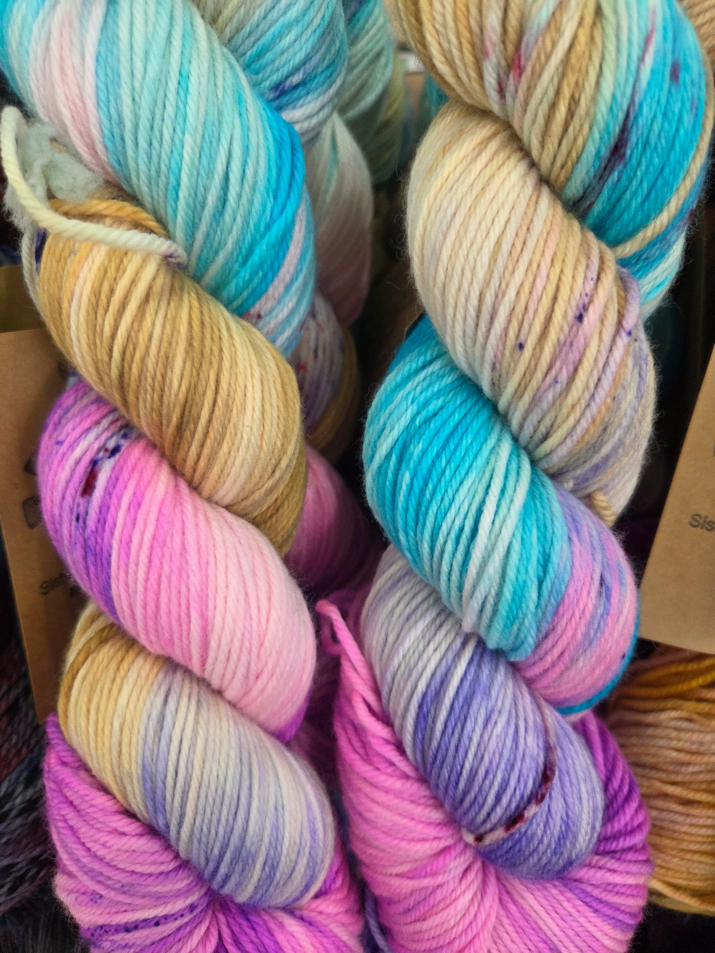 Sister Ananse Bird Collection Yarn - Hand-Dyed Wool