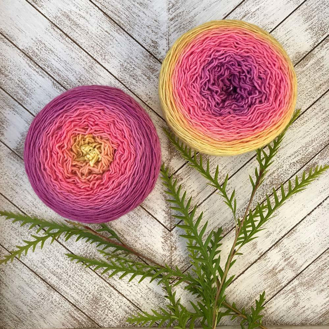 Two cake skeins of Wonderland Yarns Blossoms gradient yarn in pink yellow purple placed with fern on whitewashed wood
