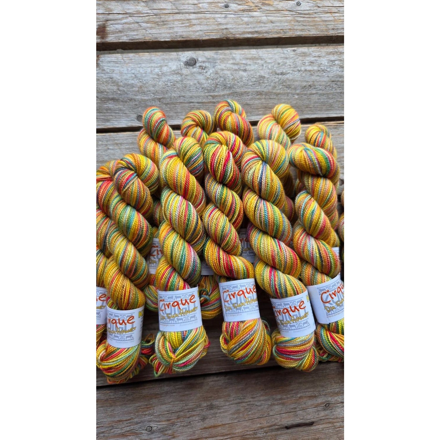Koigu Wool Designs Koigu Wool Designs - KOIGU COLLECTOR COLOUR YARN CLUB - July to September 2025 — view 6 · yarn