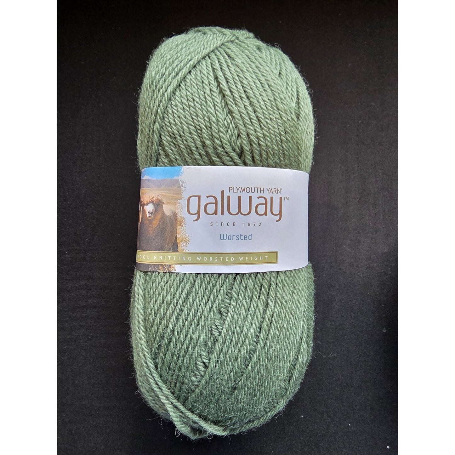 Plymouth Yarn Plymouth Galway Wool Worsted Yarn - Soft & Durable — view 22 · yarn