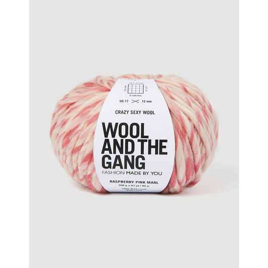 The DMC Group Wool and the Gang Crazy Sexy Wool in Pink · yarn