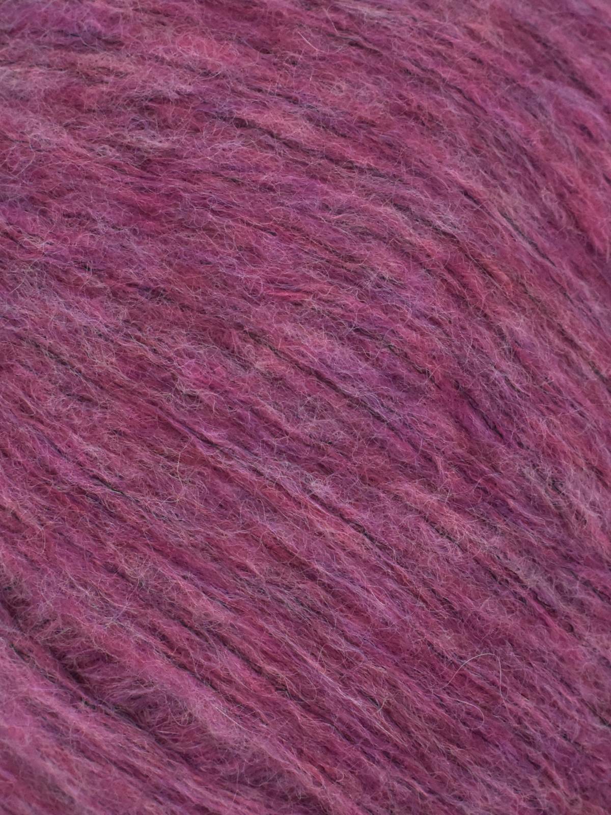 Juniper Moon Beatrix