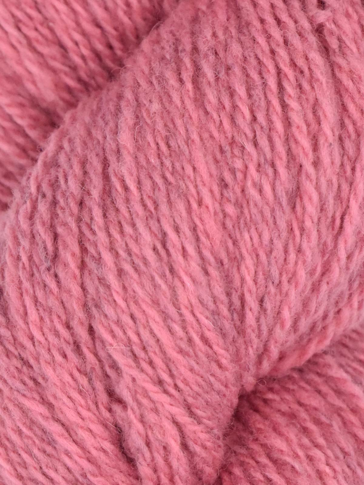 Juniper Moon Farm Patagonia Organic Merino