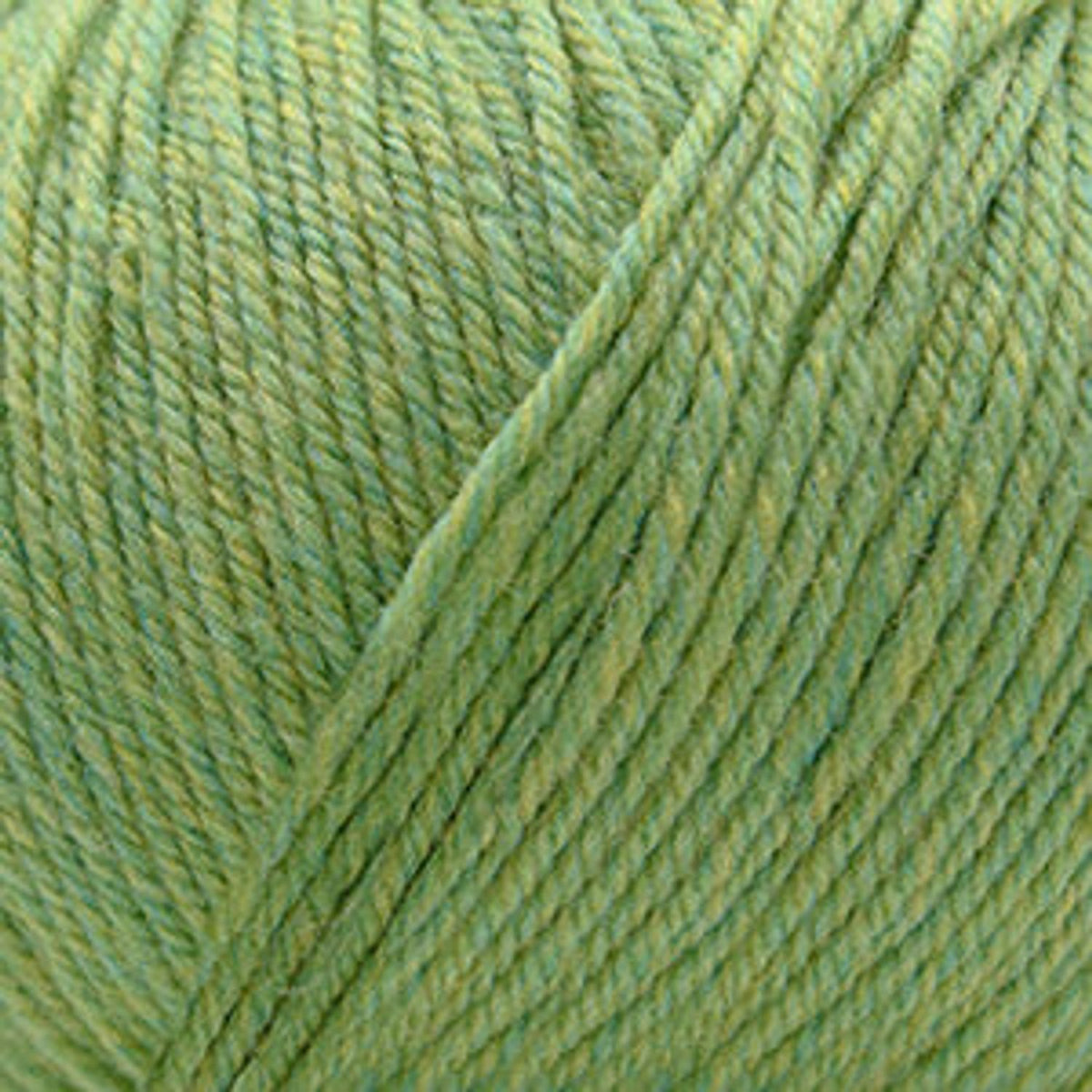 Soft green Cascade Yarns 220 Superwash wool, perfect for various knitting and crochet projects