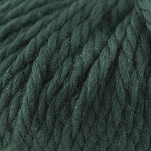 Close-up of Cascade Yarns Lana Grande wool in deep green color, perfect for cozy knitting projects