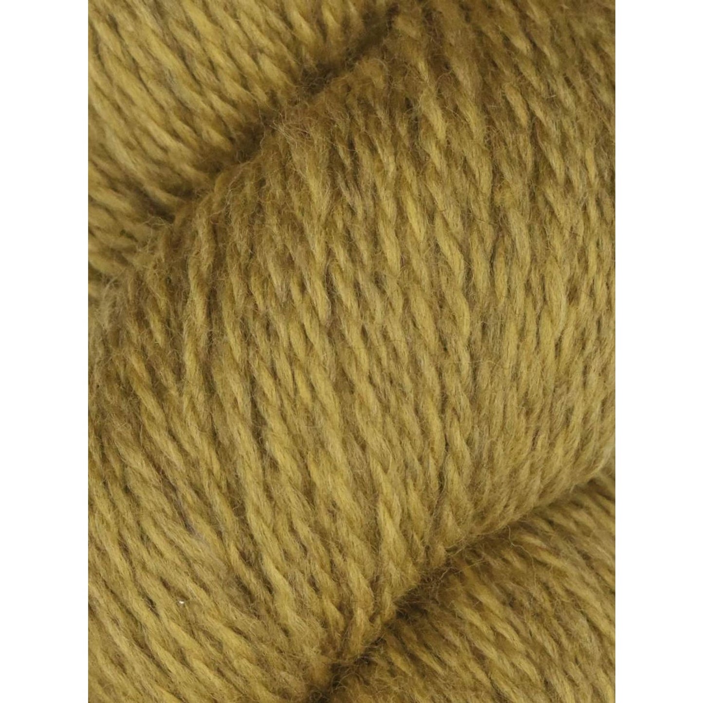 Close up of mustard olive skein of Juniper Moon Farm Rambouillet yarn by Knitting Fever for knitting and crochet projects