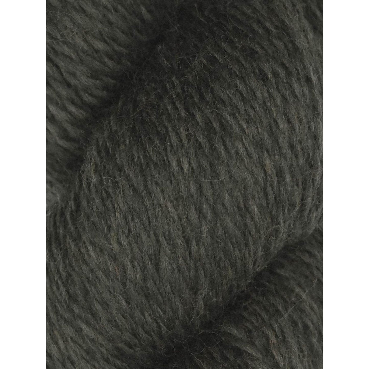 Close up of dark olive green wool skein showing soft texture and twist Knitting Fever Juniper Moon Farm Rambouillet yarn