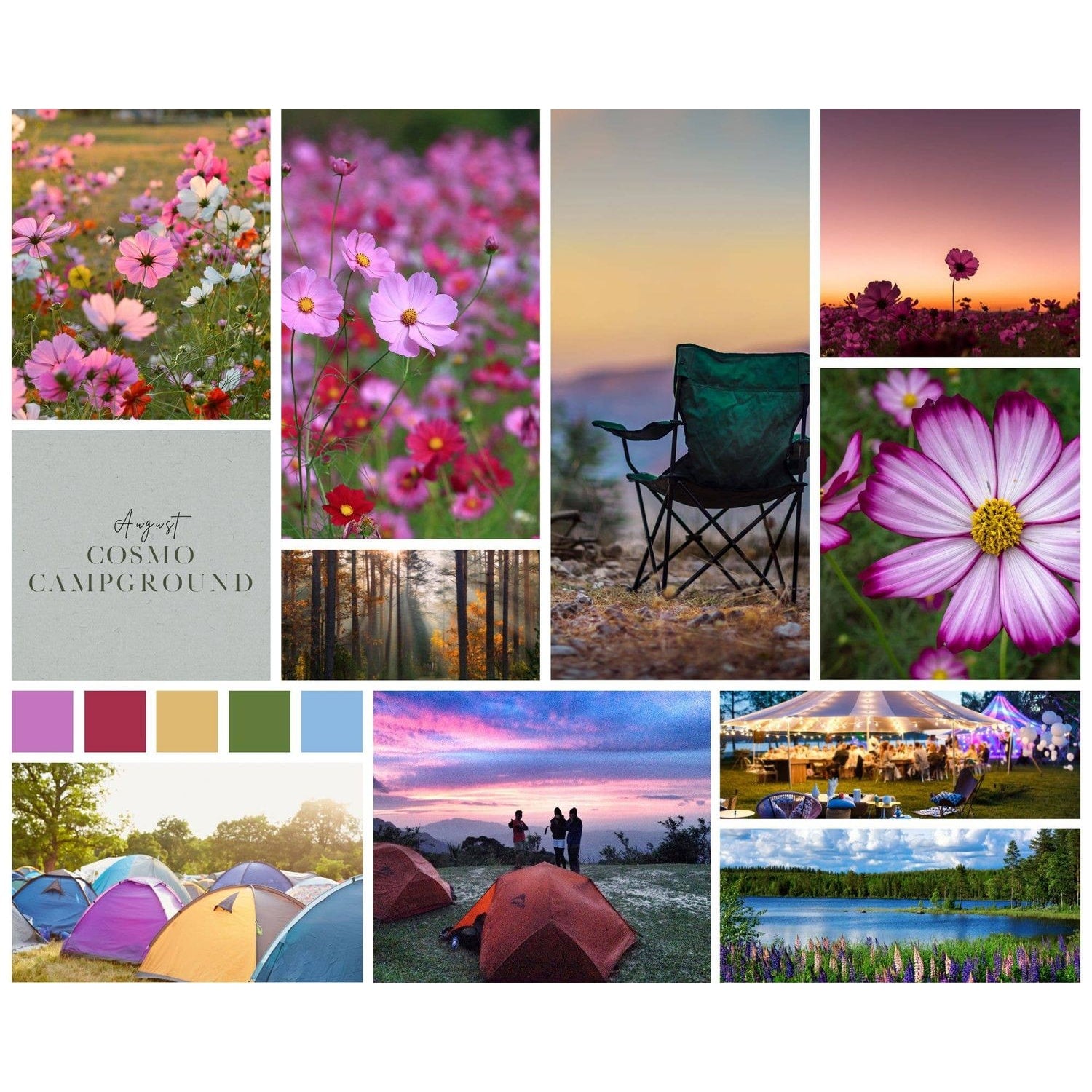 Koigu Wool Designs - KOIGU COLLECTOR COLOUR YARN CLUB - July to September 2025 Cosmo Campground