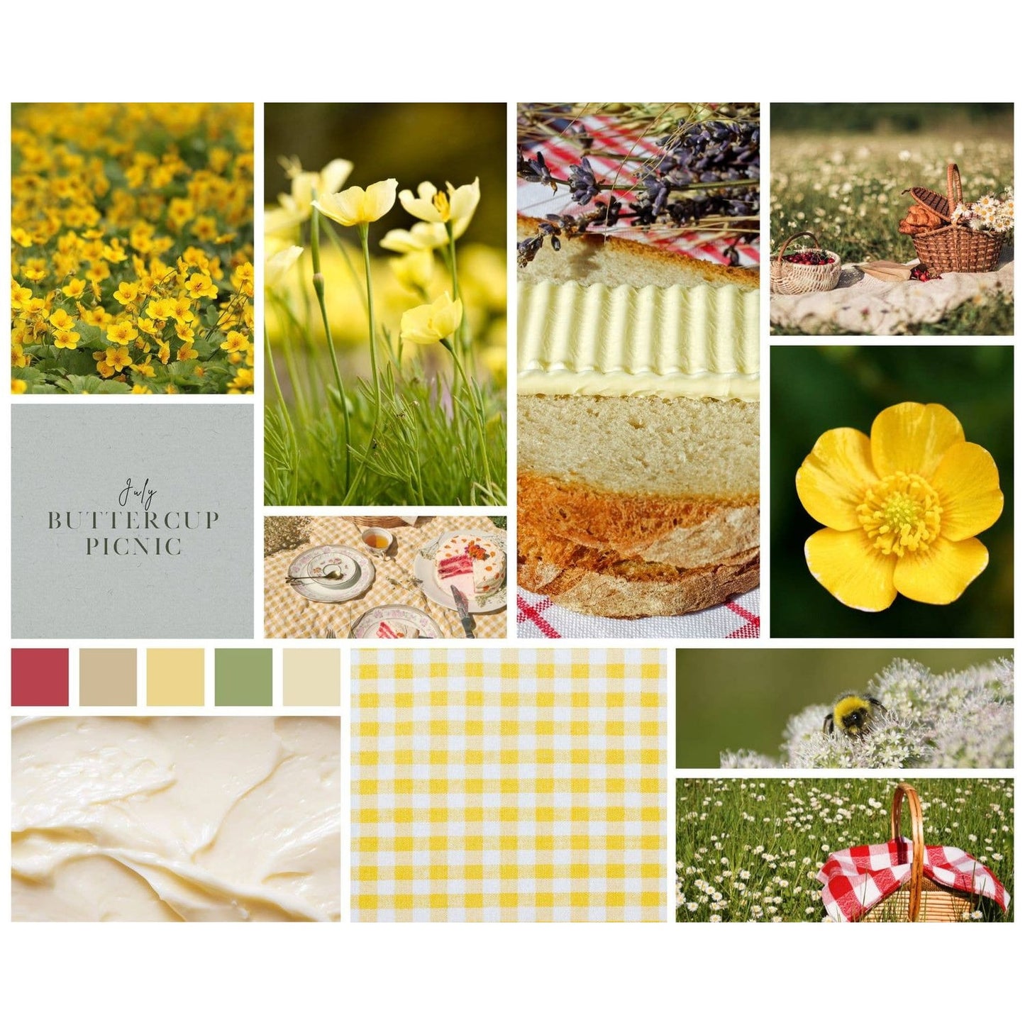 Koigu Wool Designs - KOIGU COLLECTOR COLOUR YARN CLUB - July to September 2025 Buttercup Picnic