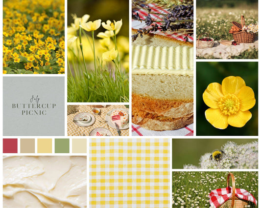Koigu Wool Designs - KOIGU COLLECTOR COLOUR YARN CLUB - July to September 2025 Buttercup Picnic