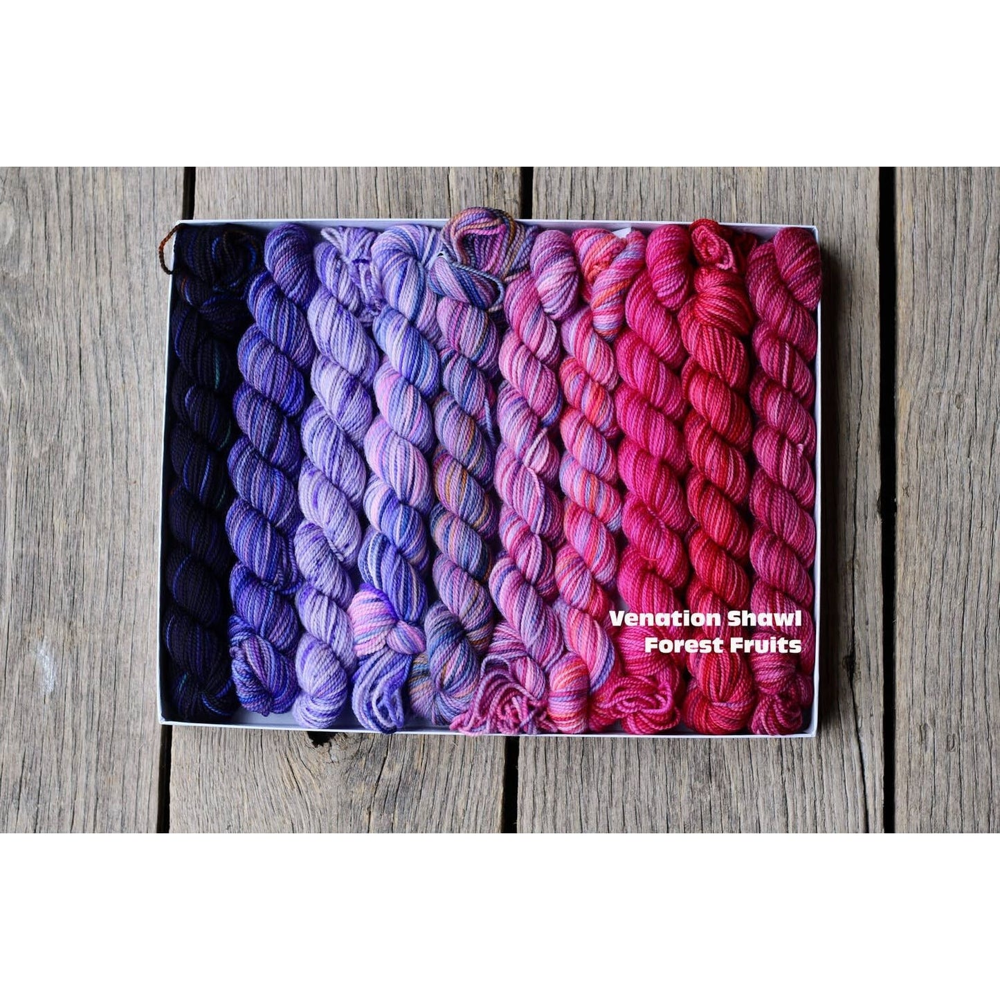 Koigu Wool Designs - Venation Shawl Kits - Pencil Boxes x Ambah LYS Day 2025
