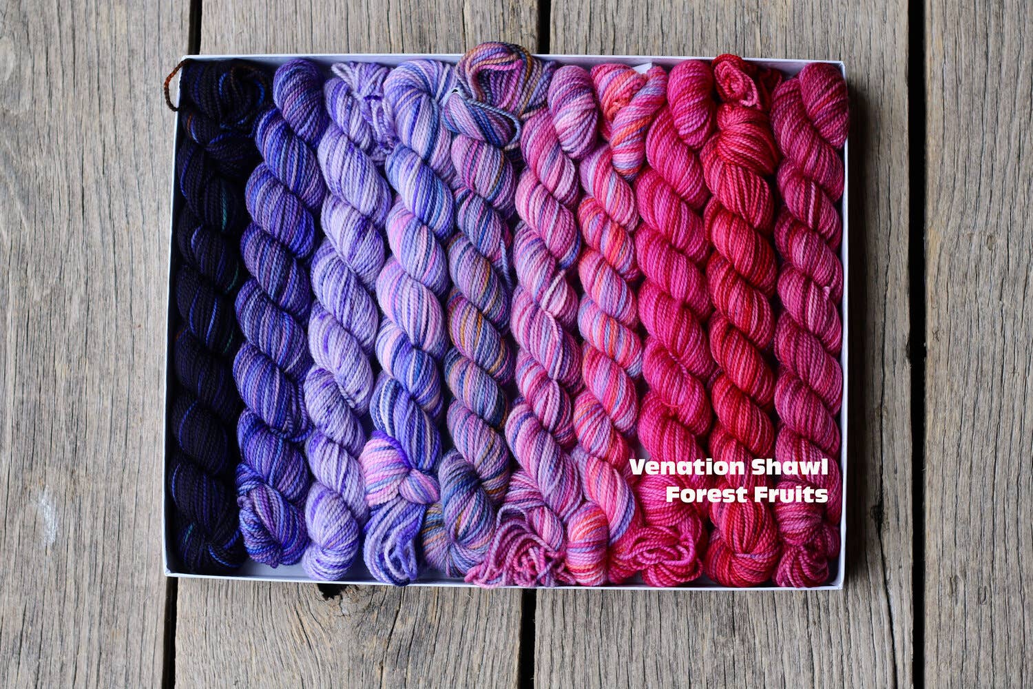 Koigu Wool Designs - Venation Shawl Kits - Pencil Boxes x Ambah LYS Day 2025