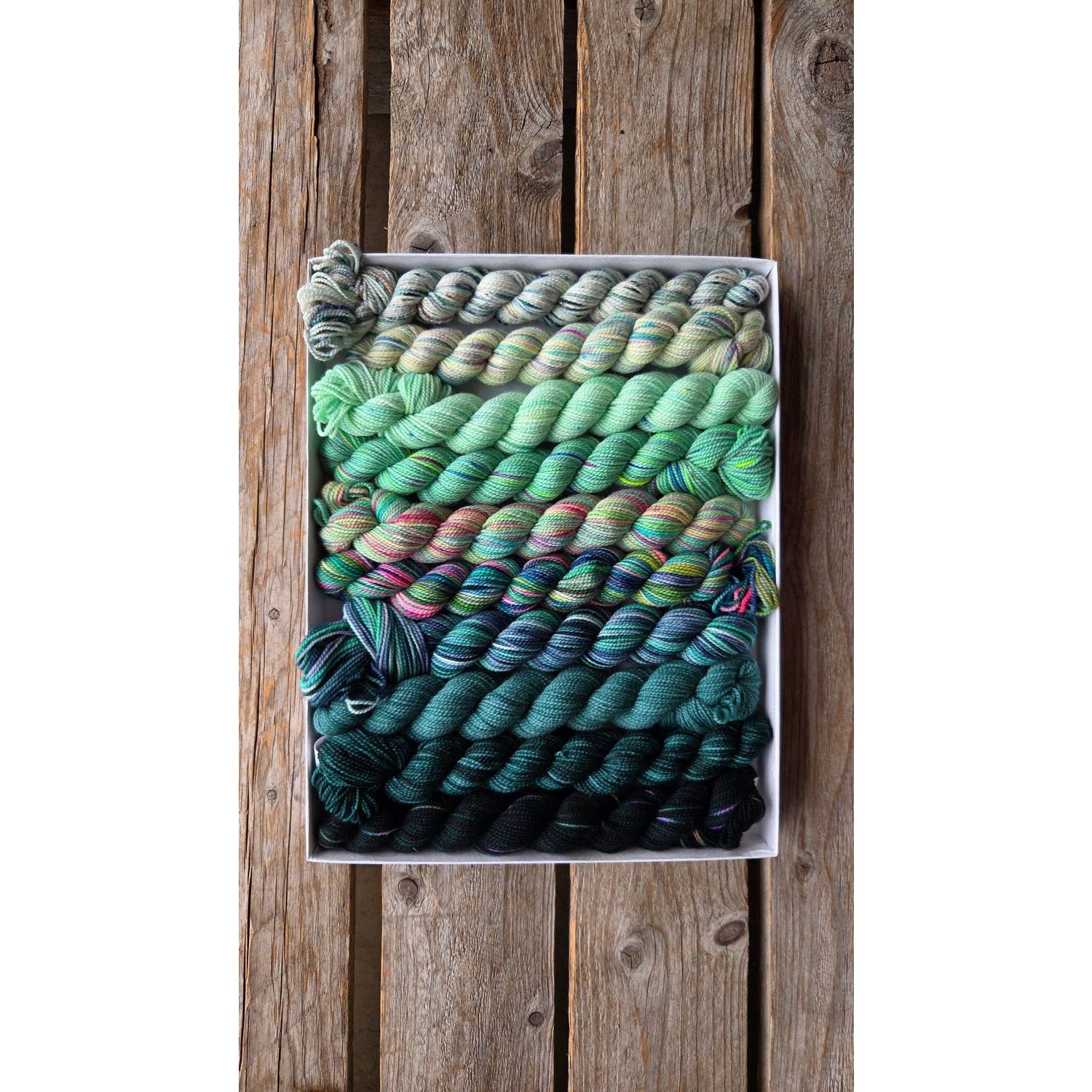 Koigu Wool Designs - Venation Shawl Kits - Pencil Boxes x Ambah LYS Day 2025 Mojito