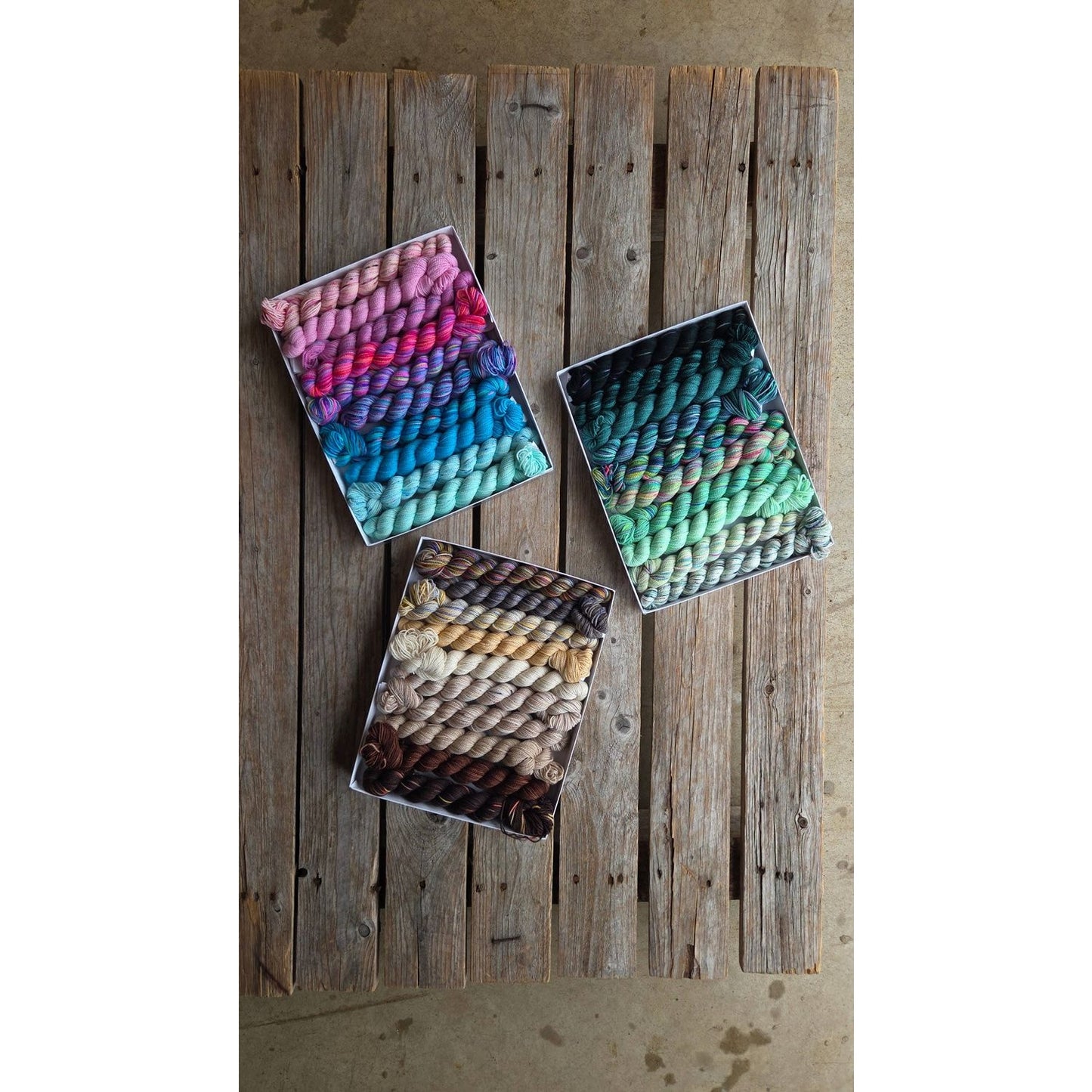 Koigu Wool Designs - Venation Shawl Kits - Pencil Boxes x Ambah LYS Day 2025