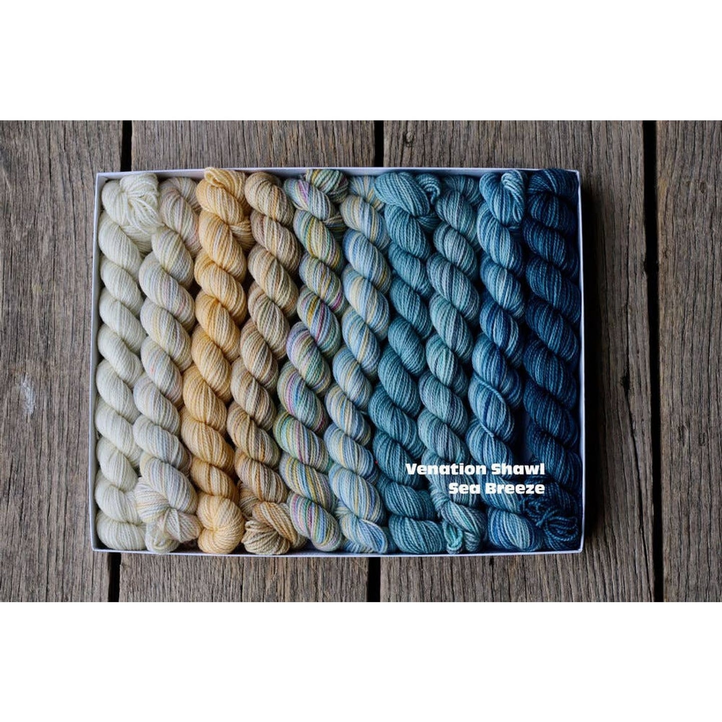 Koigu Wool Designs - Venation Shawl Kits - Pencil Boxes x Ambah LYS Day 2025 Sea Breeze