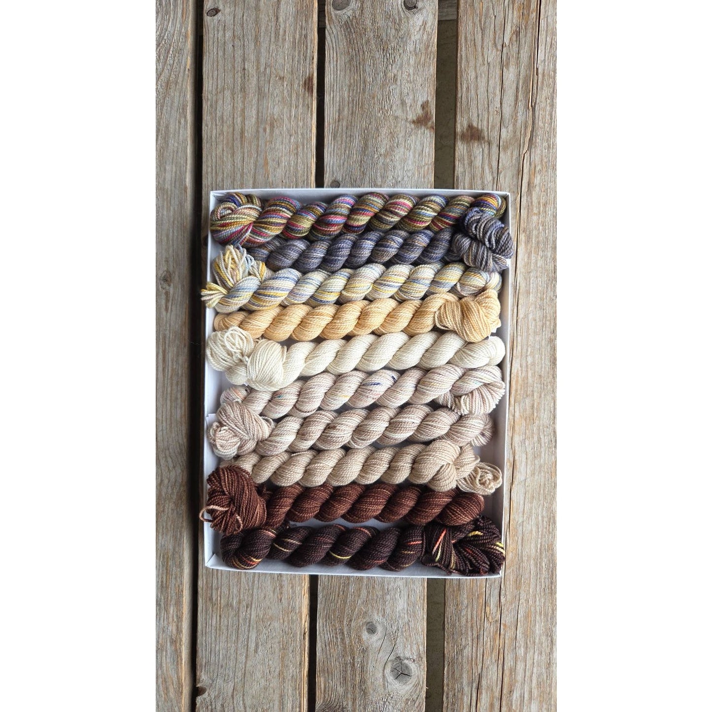 Koigu Wool Designs - Venation Shawl Kits - Pencil Boxes x Ambah LYS Day 2025