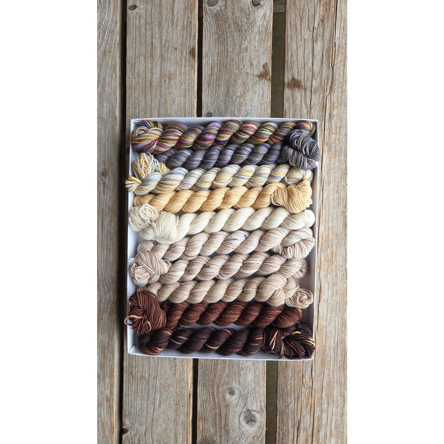 Koigu Wool Designs - Venation Shawl Kits - Pencil Boxes x Ambah LYS Day 2025