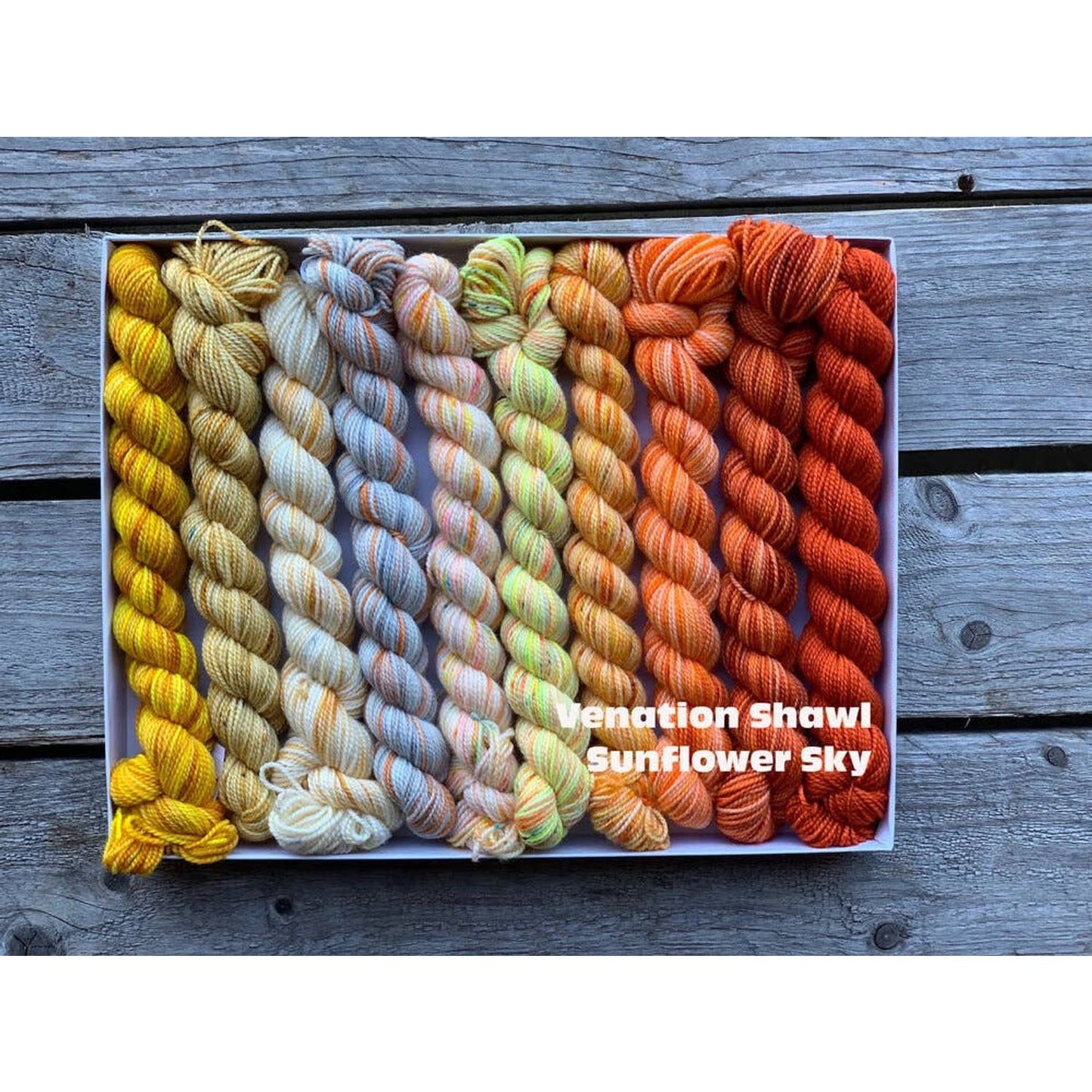 Koigu Wool Designs - Venation Shawl Kits - Pencil Boxes x Ambah LYS Day 2025 Sunflower Sky