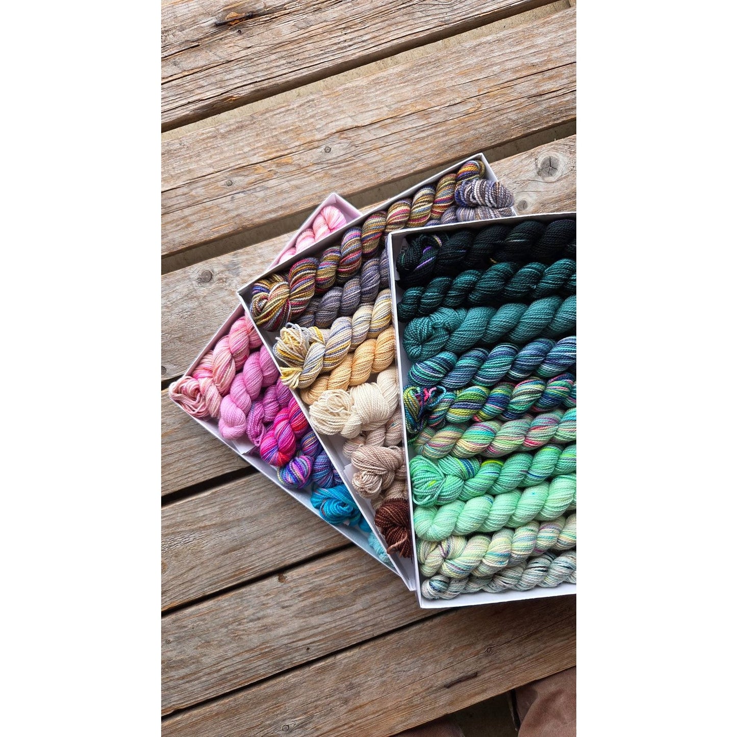 Koigu Wool Designs - Venation Shawl Kits - Pencil Boxes x Ambah LYS Day 2025