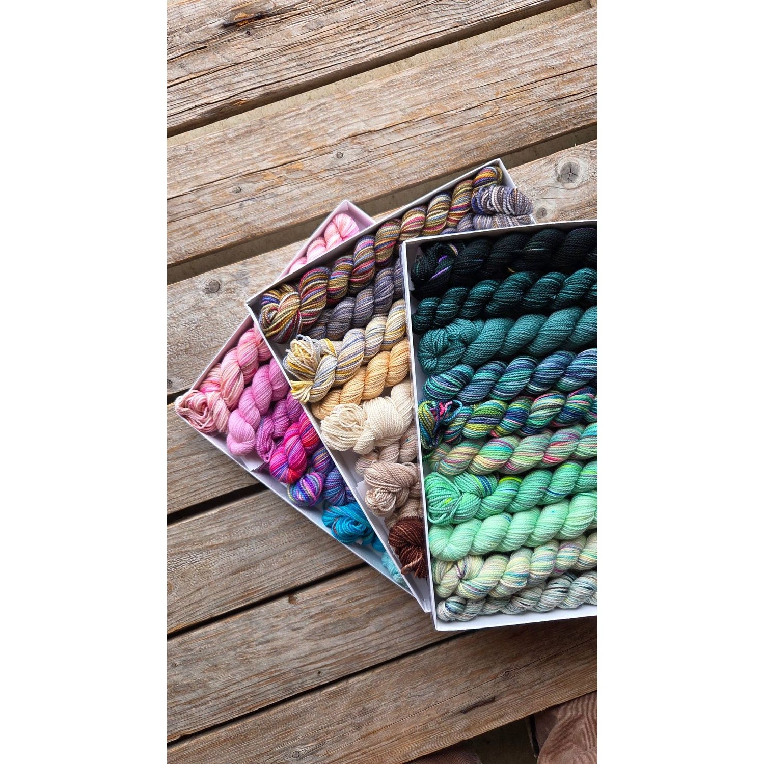 Koigu Wool Designs - Venation Shawl Kits - Pencil Boxes x Ambah LYS Day 2025