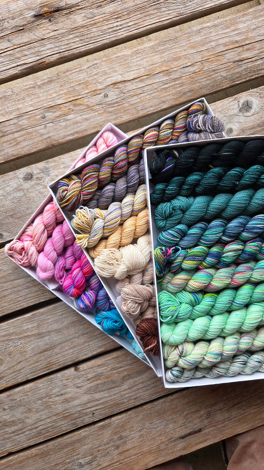 Koigu Wool Designs - Venation Shawl Kits - Pencil Boxes x Ambah LYS Day 2025
