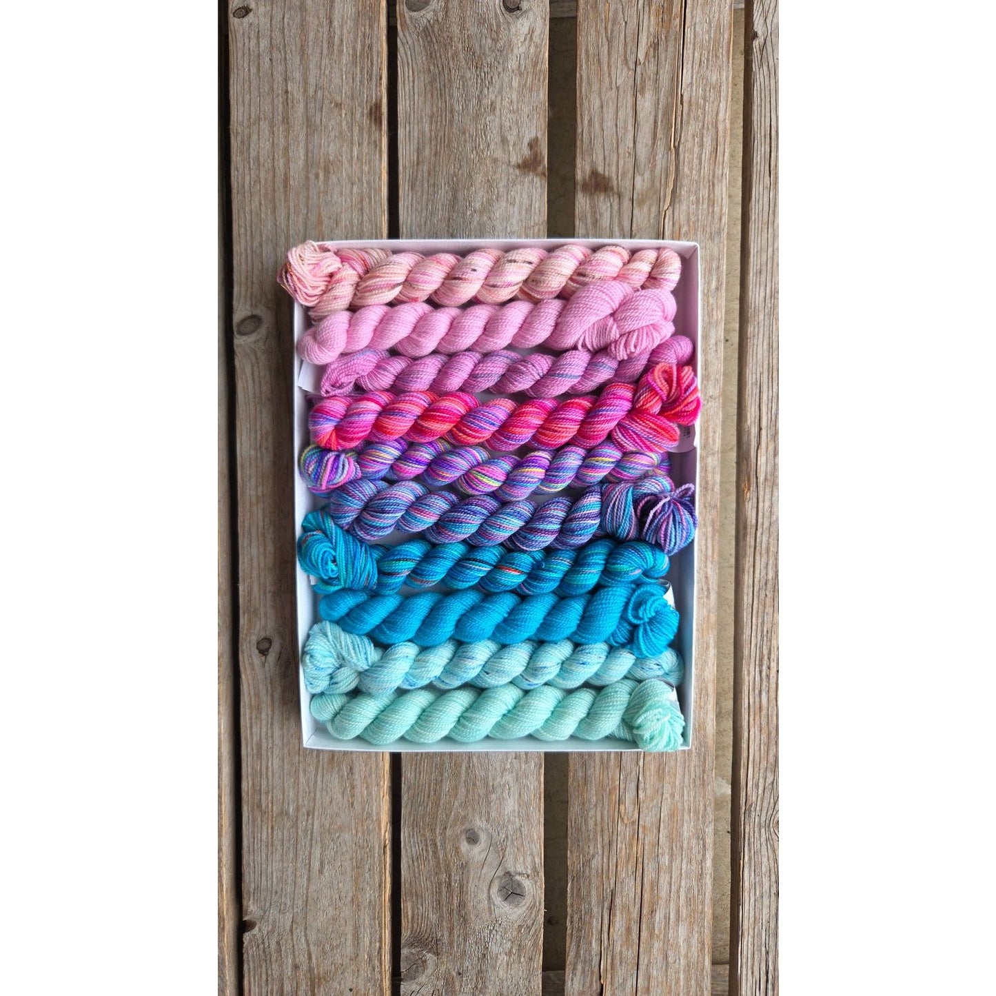 Koigu Wool Designs - Venation Shawl Kits - Pencil Boxes x Ambah LYS Day 2025