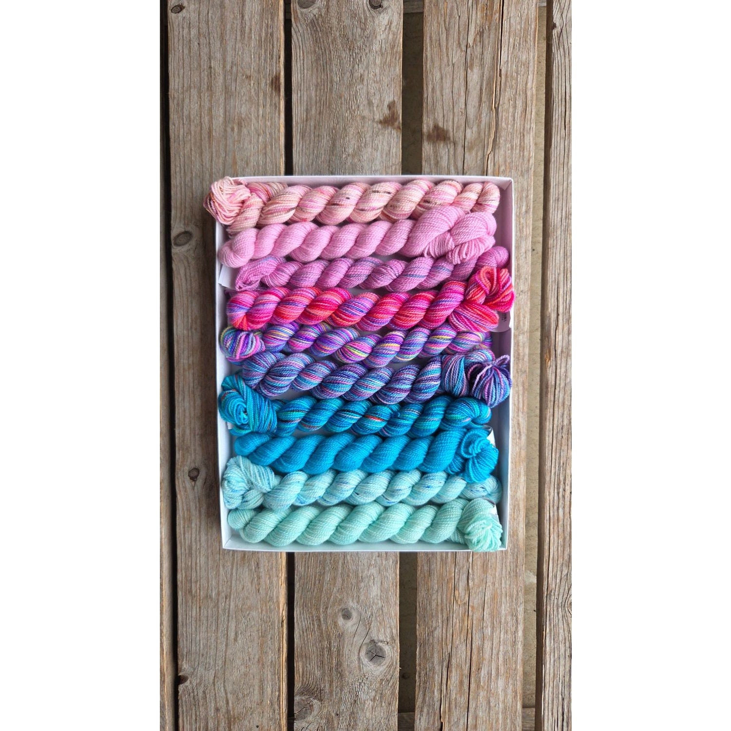 Koigu Wool Designs - Venation Shawl Kits - Pencil Boxes x Ambah LYS Day 2025