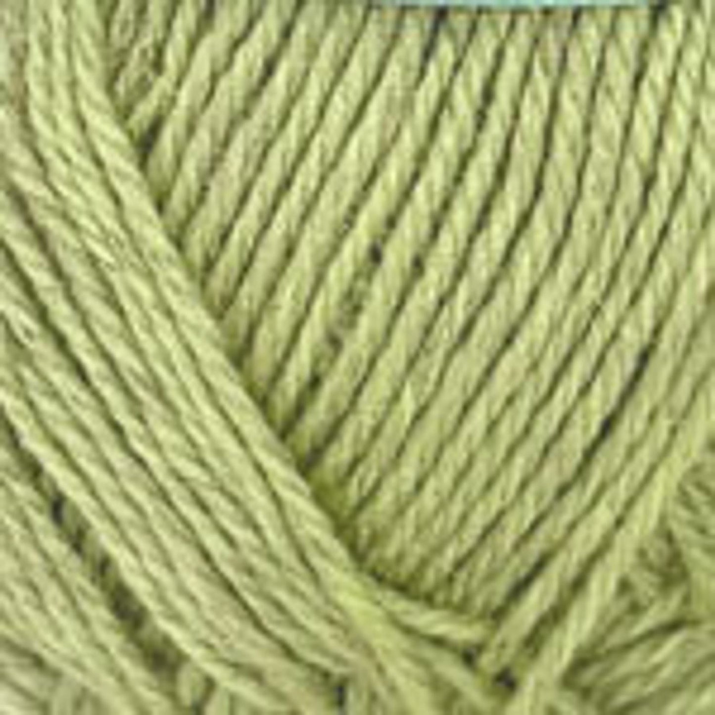 Plymouth Pompano Yarn - Soft, Durable Natural Fiber 34 Limelight