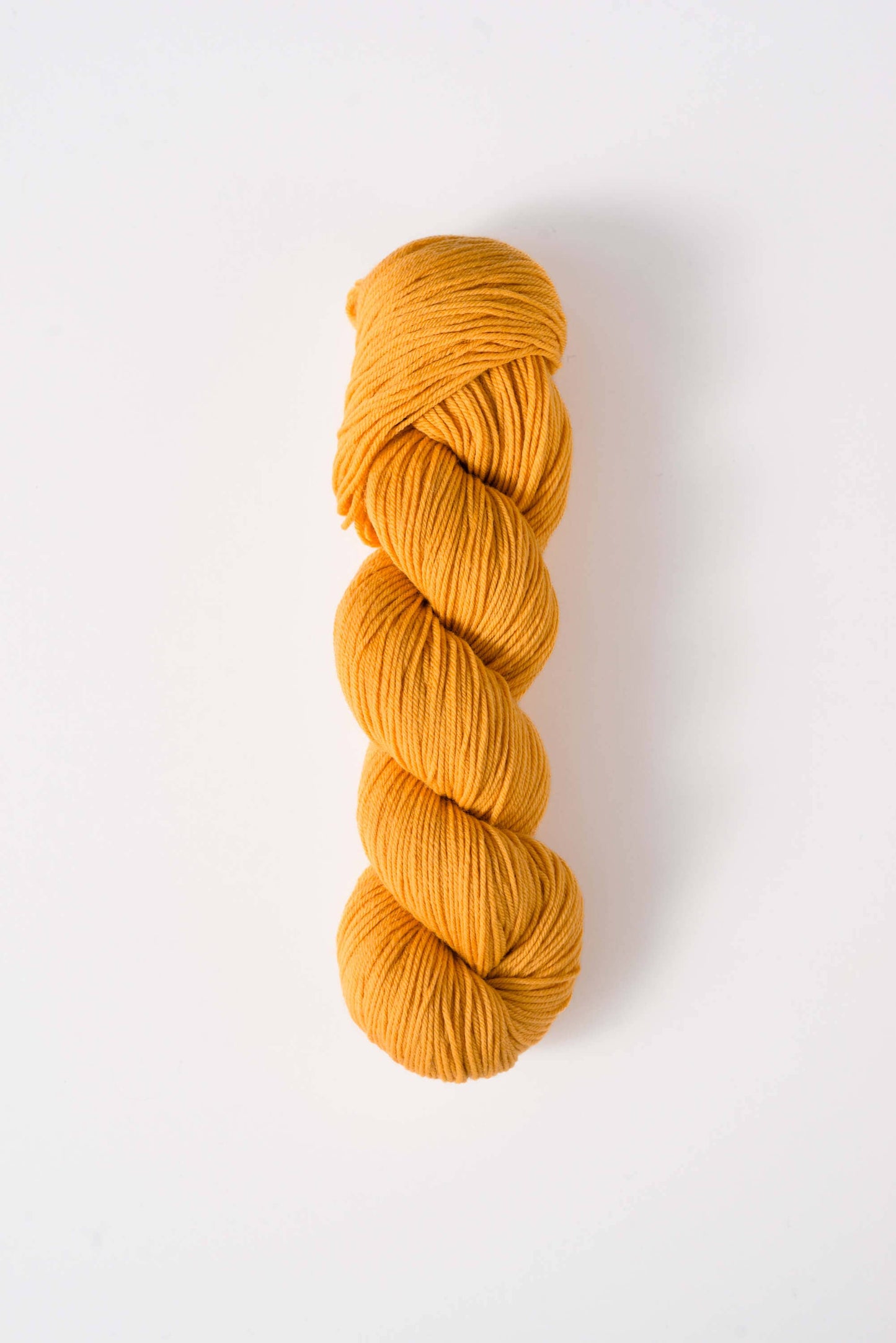 Quince & Co. superwash merino fingering yarn in a vibrant mustard yellow color skein