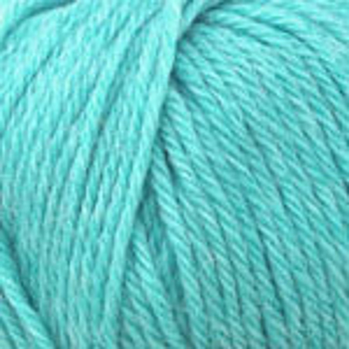 Plymouth Yarn Worsted Merino Superwash Yarn – Soft & Durable 769 Lapis Heather