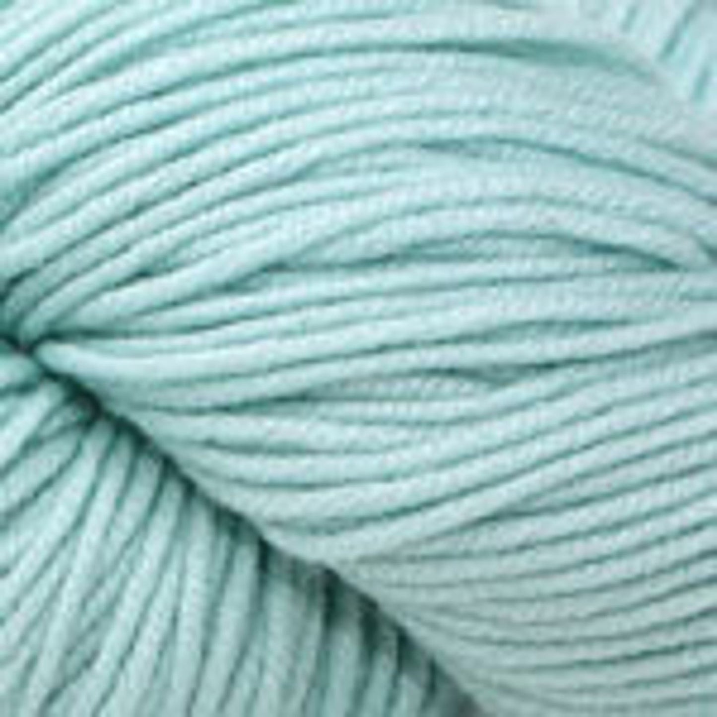 Plymouth Yarn Worsted Merino Superwash Yarn – Soft & Durable Sea Foam